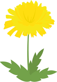 gold02 gold02
